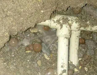 黄龙卫生间测漏